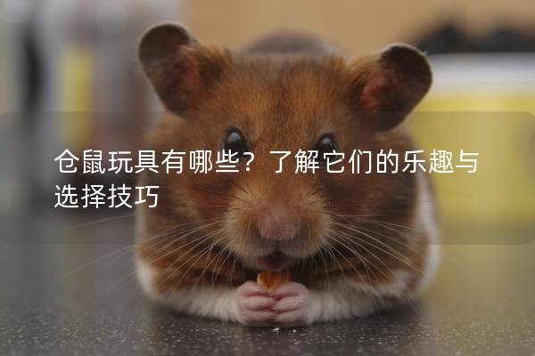 仓鼠玩具有哪些？了解它们的乐趣与选择技巧