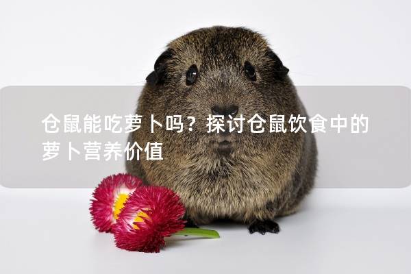 仓鼠能吃萝卜吗？探讨仓鼠饮食中的萝卜营养价值