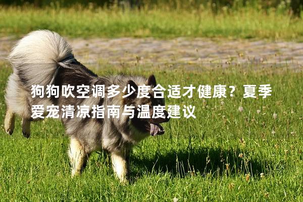 狗狗吹空调多少度合适才健康？夏季爱宠清凉指南与温度建议