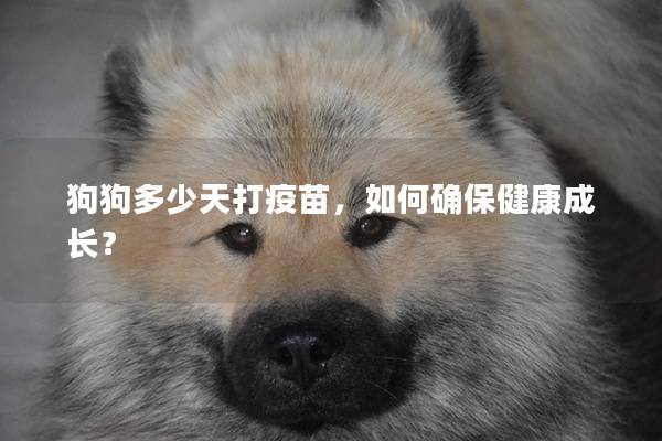 狗狗多少天打疫苗，如何确保健康成长？