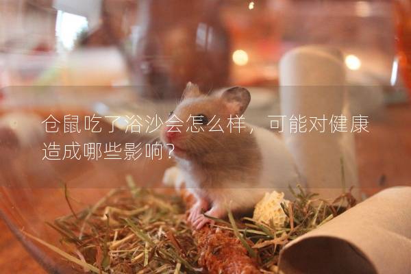 仓鼠吃了浴沙会怎么样，可能对健康造成哪些影响？
