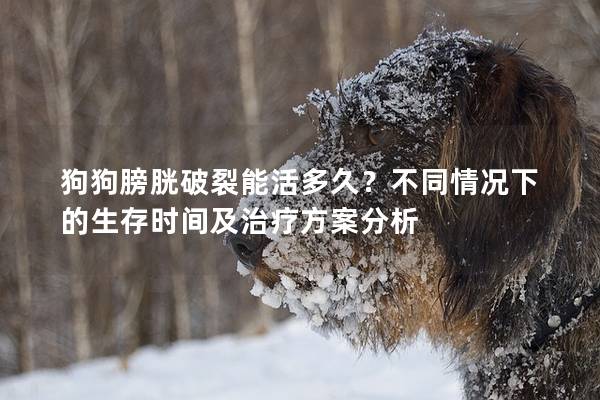 狗狗膀胱破裂能活多久？不同情况下的生存时间及治疗方案分析
