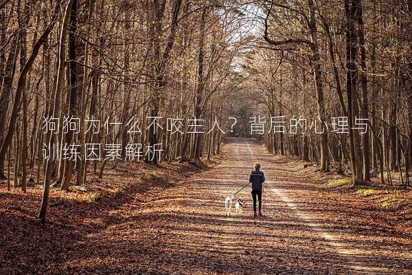 狗狗为什么不咬主人？背后的心理与训练因素解析