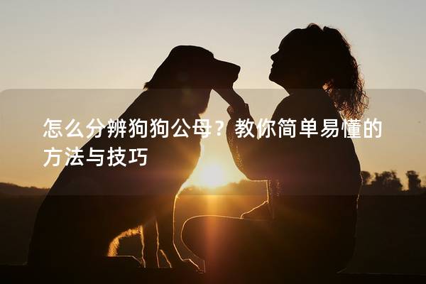 怎么分辨狗狗公母？教你简单易懂的方法与技巧