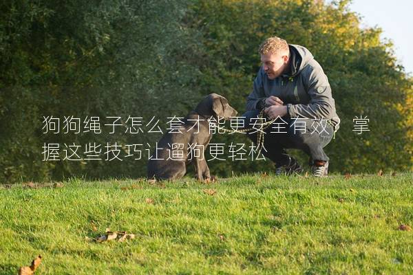 狗狗绳子怎么套才能更安全有效？掌握这些技巧让遛狗更轻松