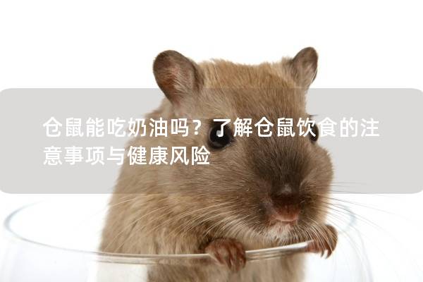 仓鼠能吃奶油吗?了解仓鼠饮食的注意事项与健康风险 仓鼠能吃奶油吗?了解仓鼠饮食的注意事项与健康风险