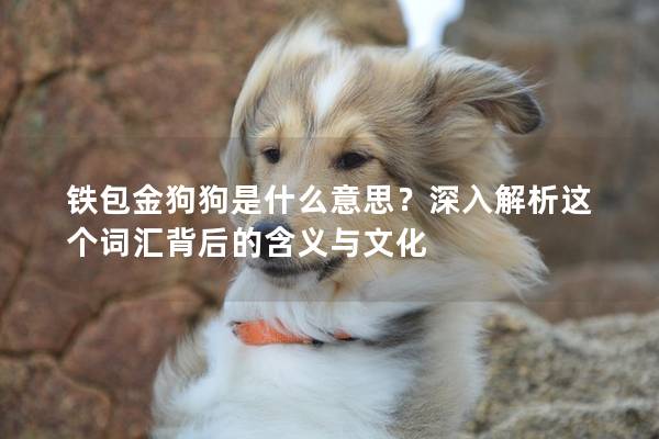 铁包金狗狗是什么意思？深入解析这个词汇背后的含义与文化
