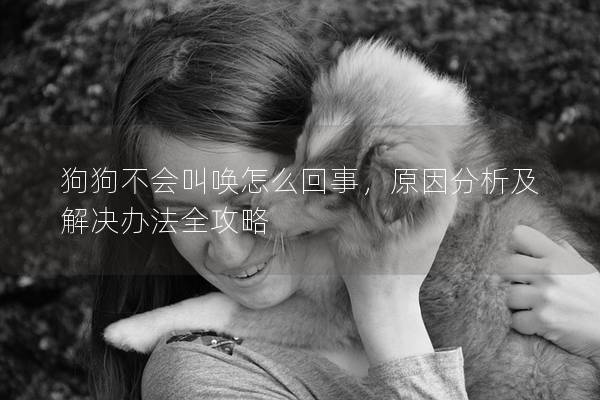 狗狗不会叫唤怎么回事，原因分析及解决办法全攻略