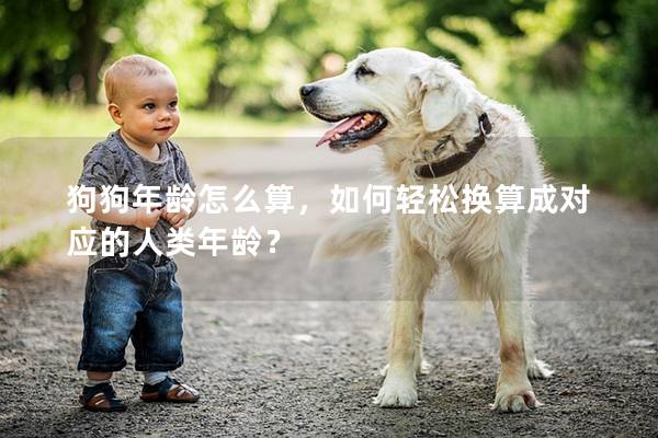 狗狗年龄怎么算,如何轻松换算成对应的人类年龄? 狗狗年龄怎么算,如何轻松换算成对应的人类年龄?