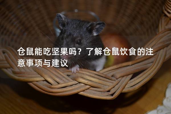 仓鼠能吃坚果吗？了解仓鼠饮食的注意事项与建议