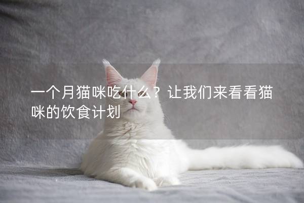 一个月猫咪吃什么？让我们来看看猫咪的饮食计划