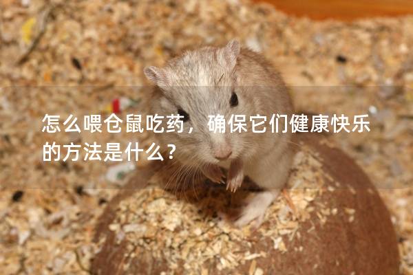 怎么喂仓鼠吃药，确保它们健康快乐的方法是什么？