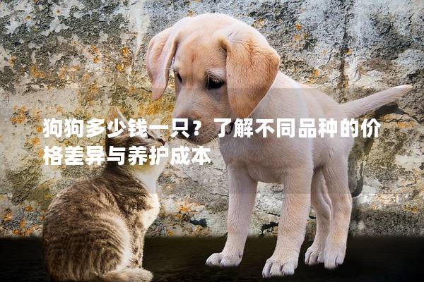狗狗多少钱一只?了解不同品种的价格差异与养护成本 狗狗多少钱一只?了解不同品种的价格差异与养护成本