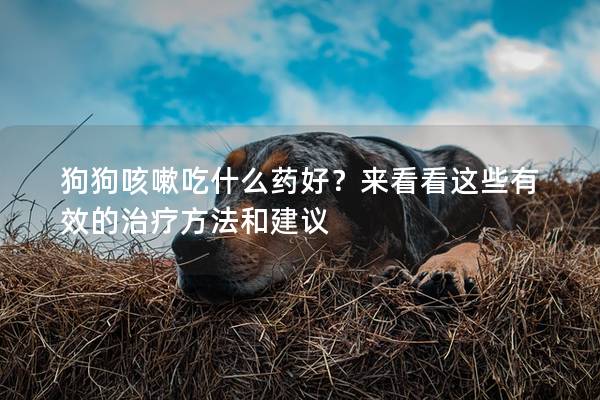 狗狗咳嗽吃什么药好?来看看这些有效的治疗方法和建议 狗狗咳嗽吃什么药好?来看看这些有效的治疗方法和建议