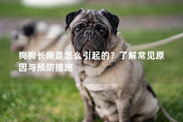 狗狗长癣是怎么引起的？了解常见原因与预防措施