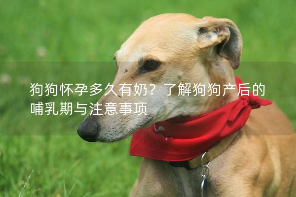 狗狗怀孕多久有奶？了解狗狗产后的哺乳期与注意事项