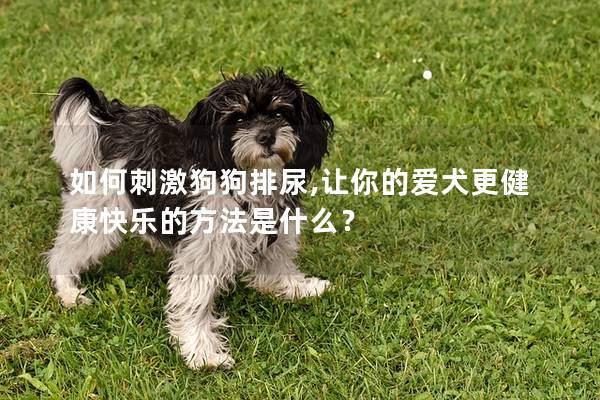 如何刺激狗狗排尿,让你的爱犬更健康快乐的方法是什么？