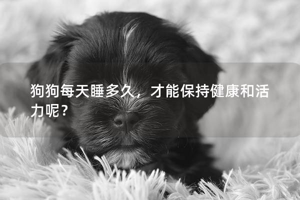 狗狗每天睡多久，才能保持健康和活力呢？
