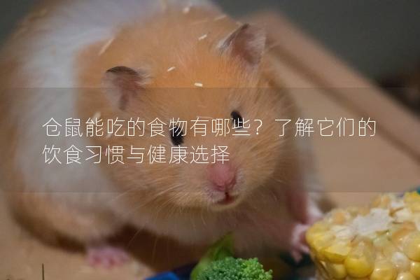 仓鼠能吃的食物有哪些？了解它们的饮食习惯与健康选择