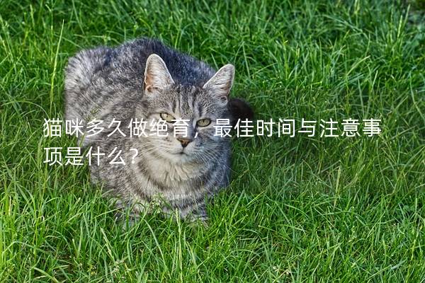 猫咪多久做绝育，最佳时间与注意事项是什么？