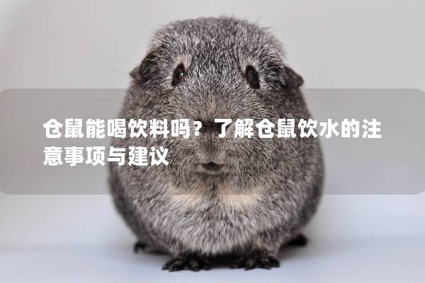 仓鼠能喝饮料吗？了解仓鼠饮水的注意事项与建议