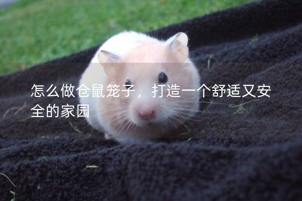 怎么做仓鼠笼子，打造一个舒适又安全的家园