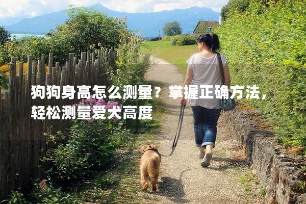 狗狗身高怎么测量?掌握正确方法,轻松测量爱犬高度 狗狗身高怎么测量?掌握正确方法,轻松测量爱犬高度