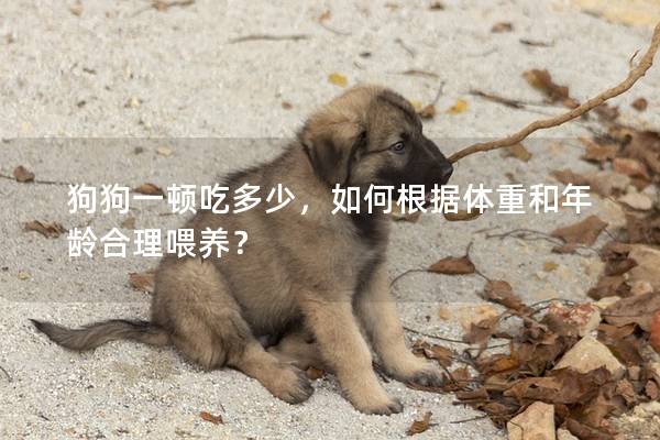 狗狗一顿吃多少,如何根据体重和年龄合理喂养? 狗狗一顿吃多少,如何根据体重和年龄合理喂养?