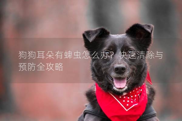 狗狗耳朵有蜱虫怎么办？快速清除与预防全攻略