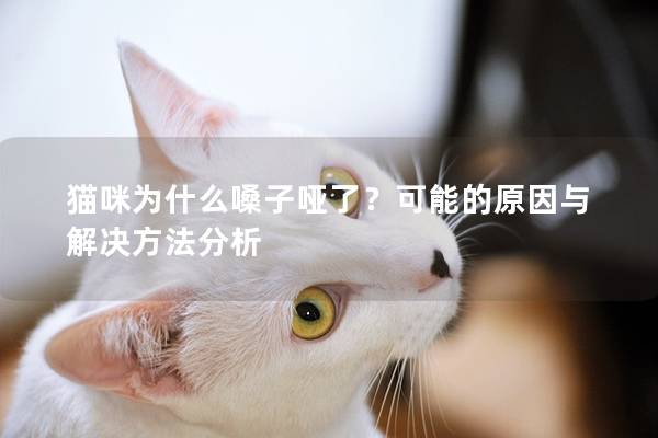 猫咪为什么嗓子哑了？可能的原因与解决方法分析