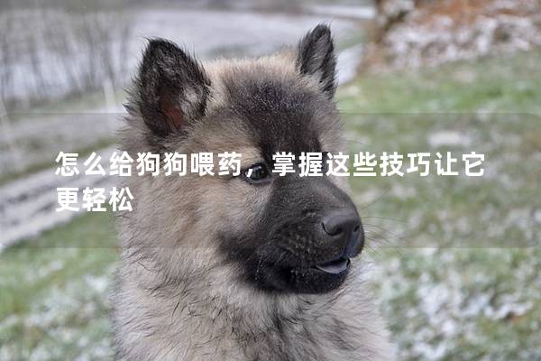 怎么给狗狗喂药,掌握这些技巧让它更轻松 怎么给狗狗喂药,掌握这些技巧让它更轻松