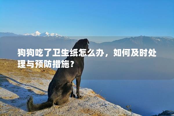 狗狗吃了卫生纸怎么办，如何及时处理与预防措施？