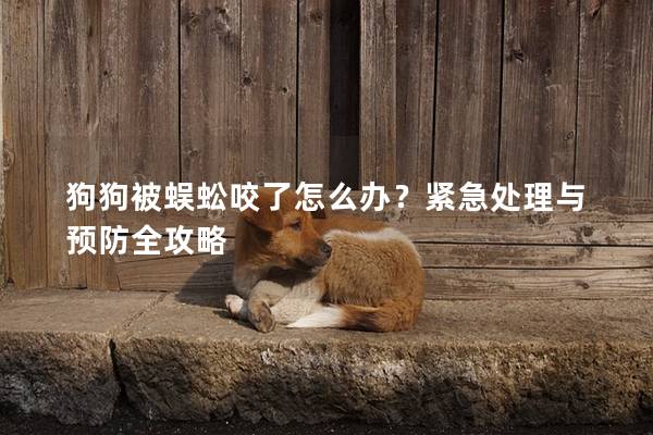 狗狗被蜈蚣咬了怎么办？紧急处理与预防全攻略