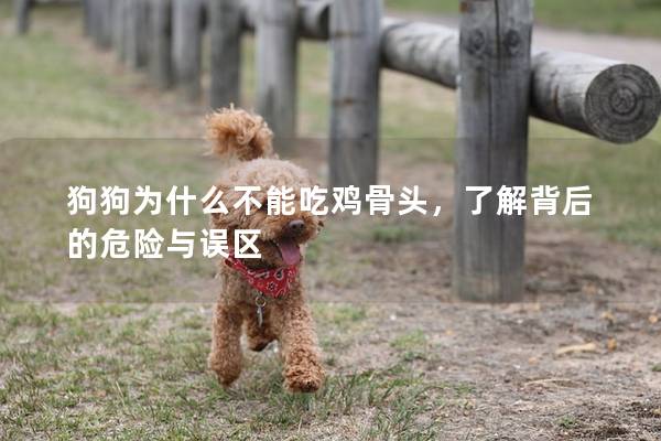 狗狗为什么不能吃鸡骨头，了解背后的危险与误区