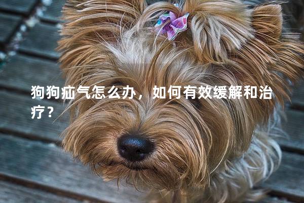 狗狗疝气怎么办，如何有效缓解和治疗？