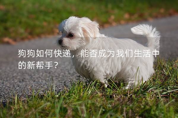 狗狗如何快递,能否成为我们生活中的新帮手? 狗狗如何快递,能否成为我们生活中的新帮手?