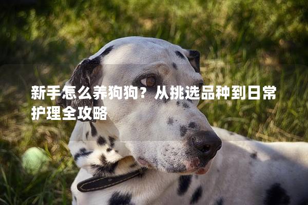 新手怎么养狗狗?从挑选品种到日常护理全攻略 新手怎么养狗狗?从挑选品种到日常护理全攻略