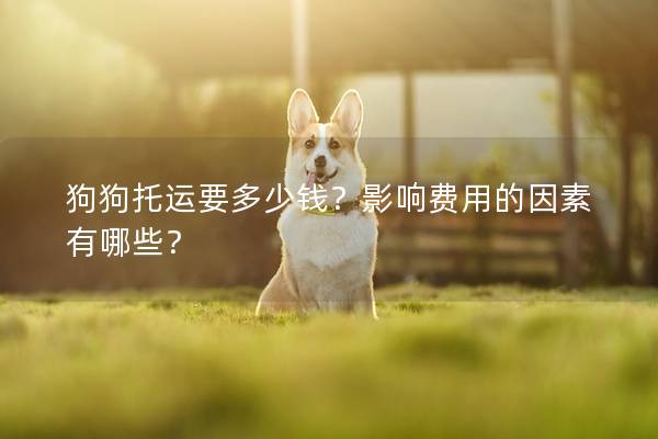 狗狗托运要多少钱?影响费用的因素有哪些? 狗狗托运要多少钱?影响费用的因素有哪些?