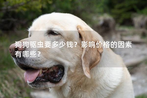 狗狗驱虫要多少钱？影响价格的因素有哪些？