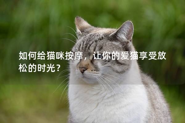 如何给猫咪按摩，让你的爱猫享受放松的时光？