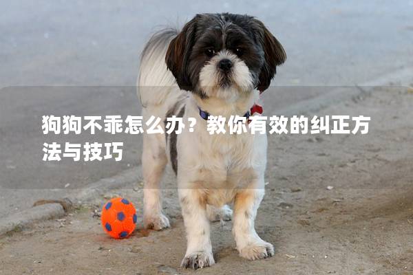 狗狗不乖怎么办？教你有效的纠正方法与技巧