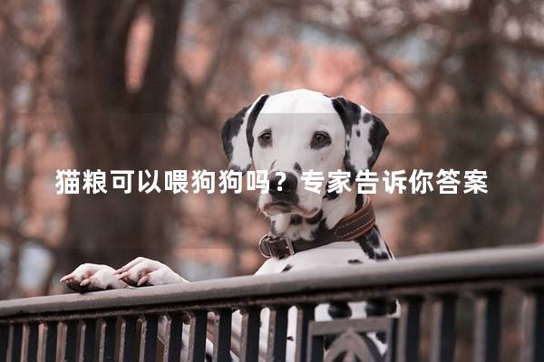 猫粮可以喂狗狗吗？专家告诉你答案