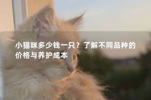 小猫咪多少钱一只?了解不同品种的价格与养护成本 小猫咪多少钱一只?了解不同品种的价格与养护成本