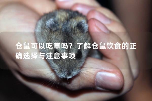 仓鼠可以吃草吗？了解仓鼠饮食的正确选择与注意事项