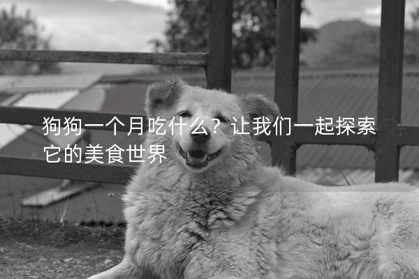 狗狗一个月吃什么？让我们一起探索它的美食世界