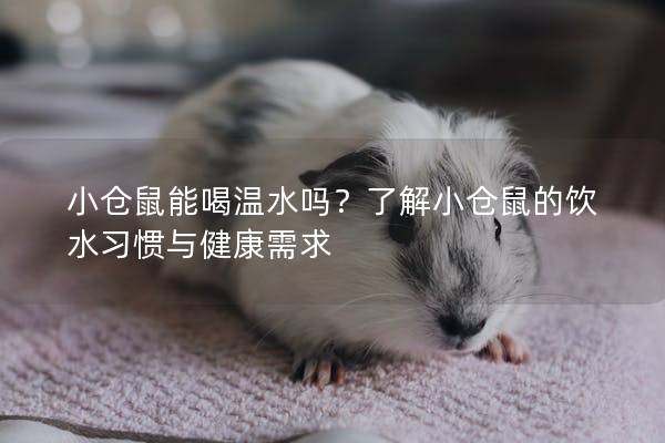 小仓鼠能喝温水吗？了解小仓鼠的饮水习惯与健康需求