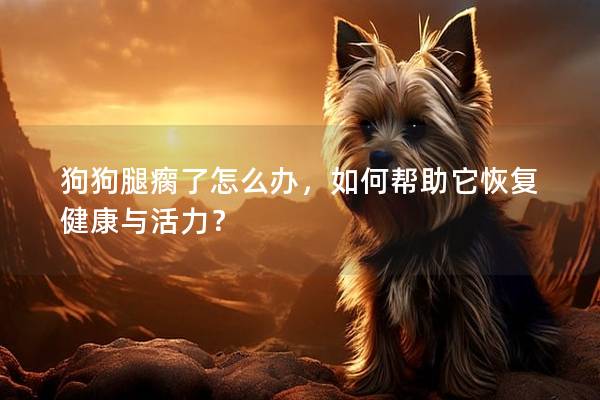 狗狗腿瘸了怎么办，如何帮助它恢复健康与活力？