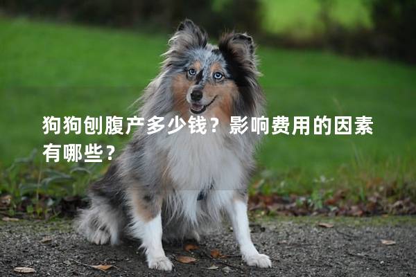 狗狗刨腹产多少钱？影响费用的因素有哪些？