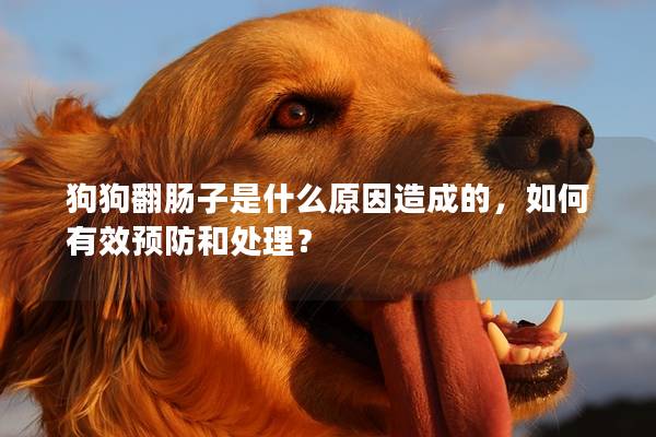 狗狗翻肠子是什么原因造成的，如何有效预防和处理？