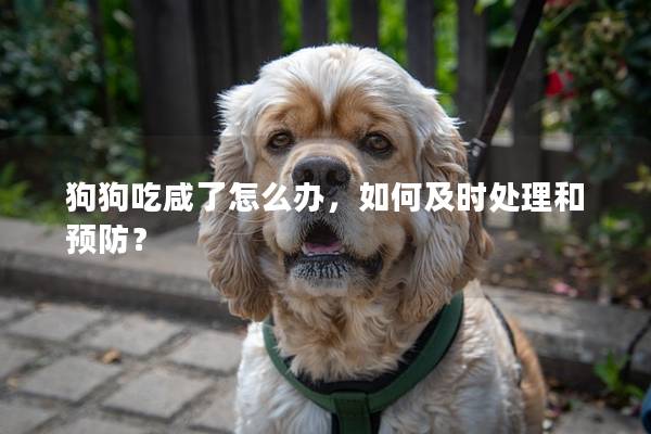 狗狗吃咸了怎么办，如何及时处理和预防？